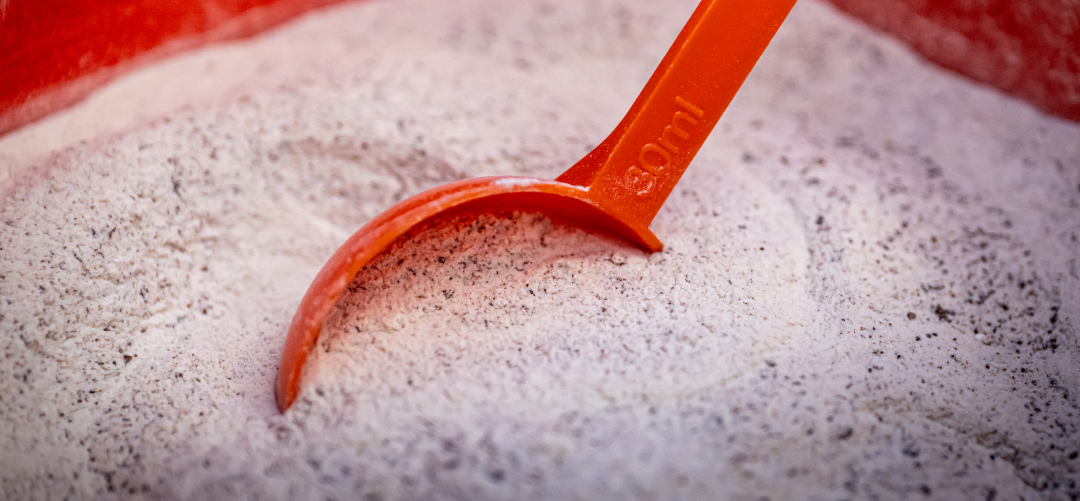 Equine Ulcers: Spotting & Supporting