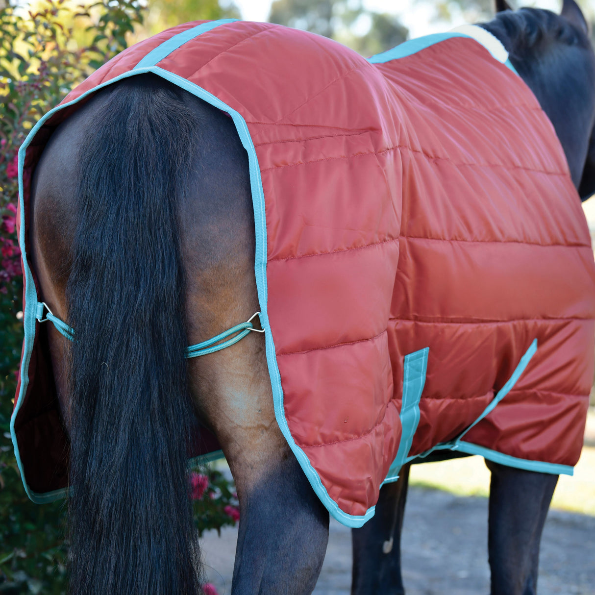 Weatherbeeta Comfitec 210D Channel Quilt Standard Neck Medium Lite #colour_red-blue-beige