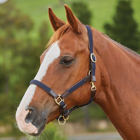 Kincade Braided Leather Headcollar #colour_navy