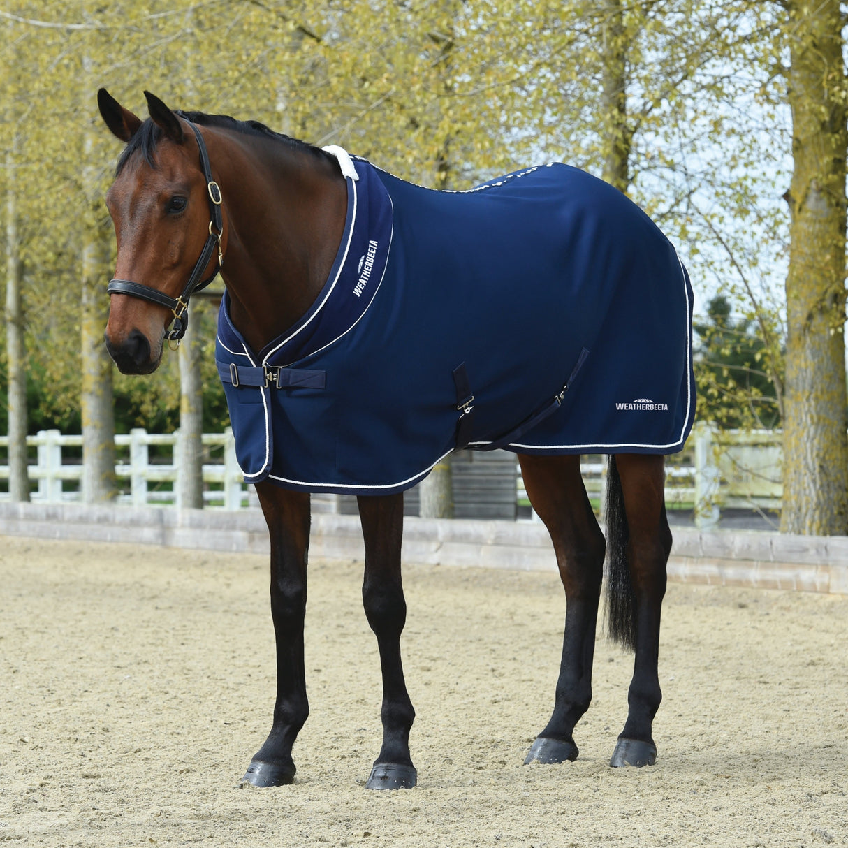 Weatherbeeta Opulence Show Feuille Col Standard