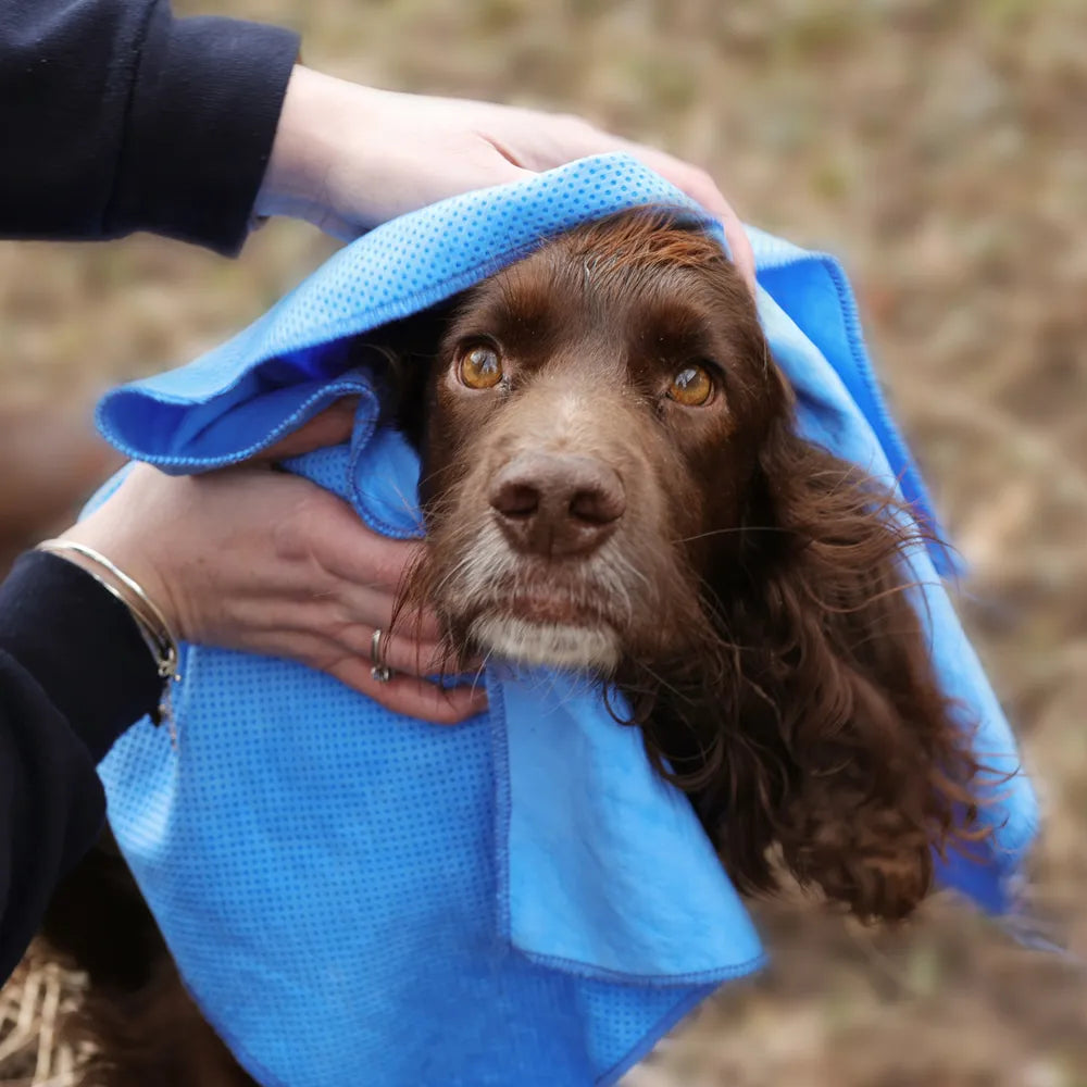 Benji & Flo Quick Dry Dog Towel #colour_blue