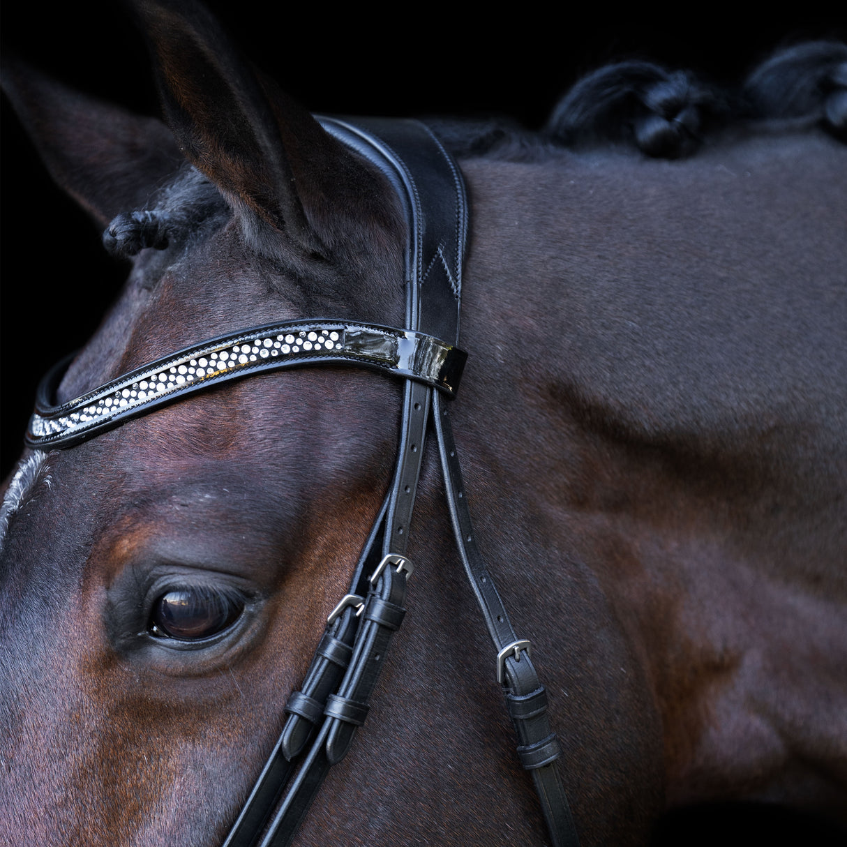 Imperial Riding Snaffle Bridle with English Noseband #colour_black-crystal