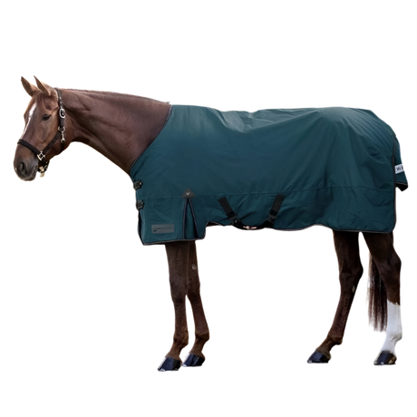 Waldhausen Arctic 100g Turnout Rug #colour_petrol-blue