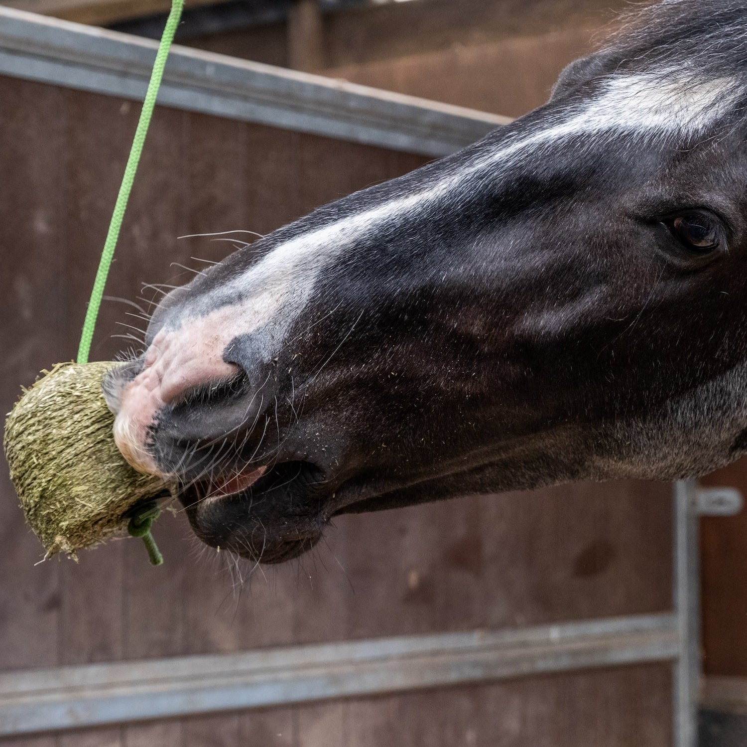 Silvermoor Swingers Bumper Pack