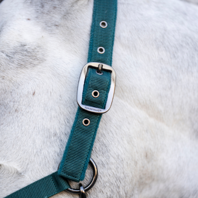 Horseware Ireland Headcollar & Leadrope #colour_dynasty-green