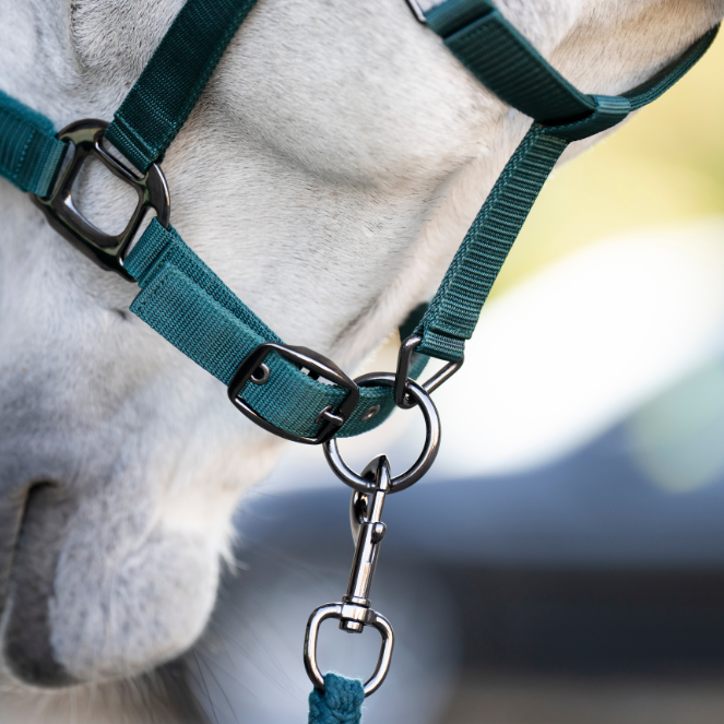 Horseware Ireland Headcollar & Leadrope #colour_dynasty-green