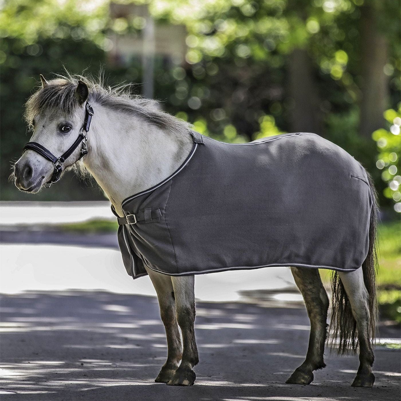 Waldhausen Economic Fleece Rug #colour_grey