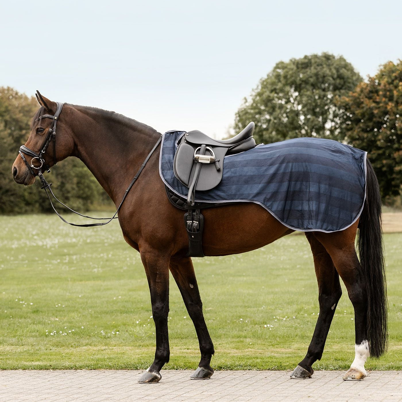 Waldhausen Economic Fly-Exercise Sheet #colour_navy