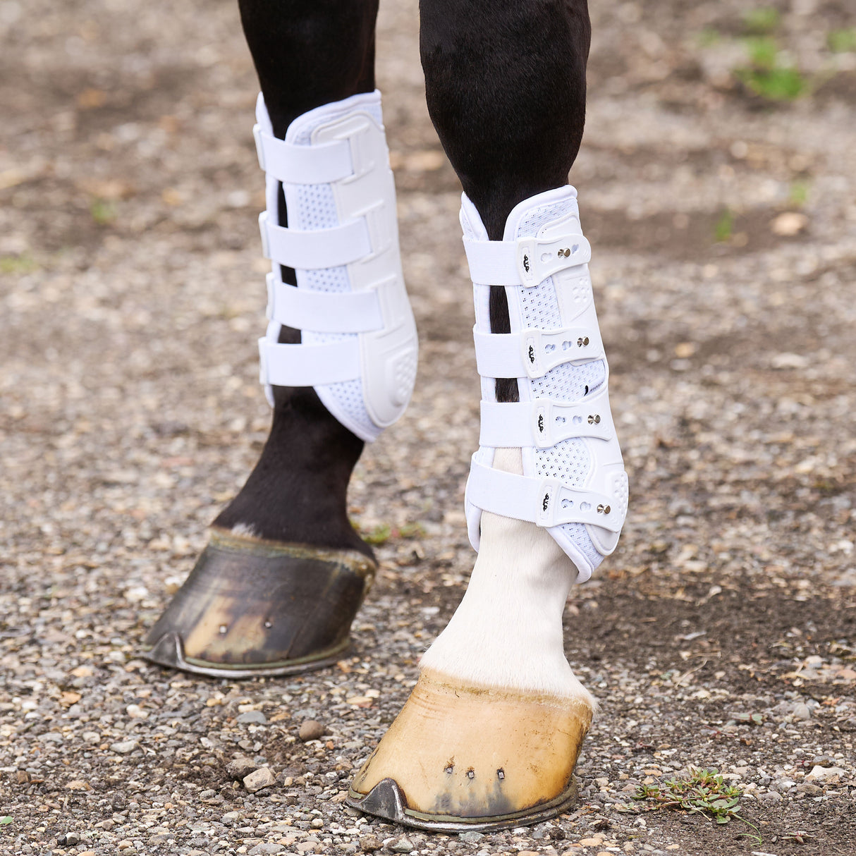 HV Polo Pro Movement Dressage Boots #colour_white