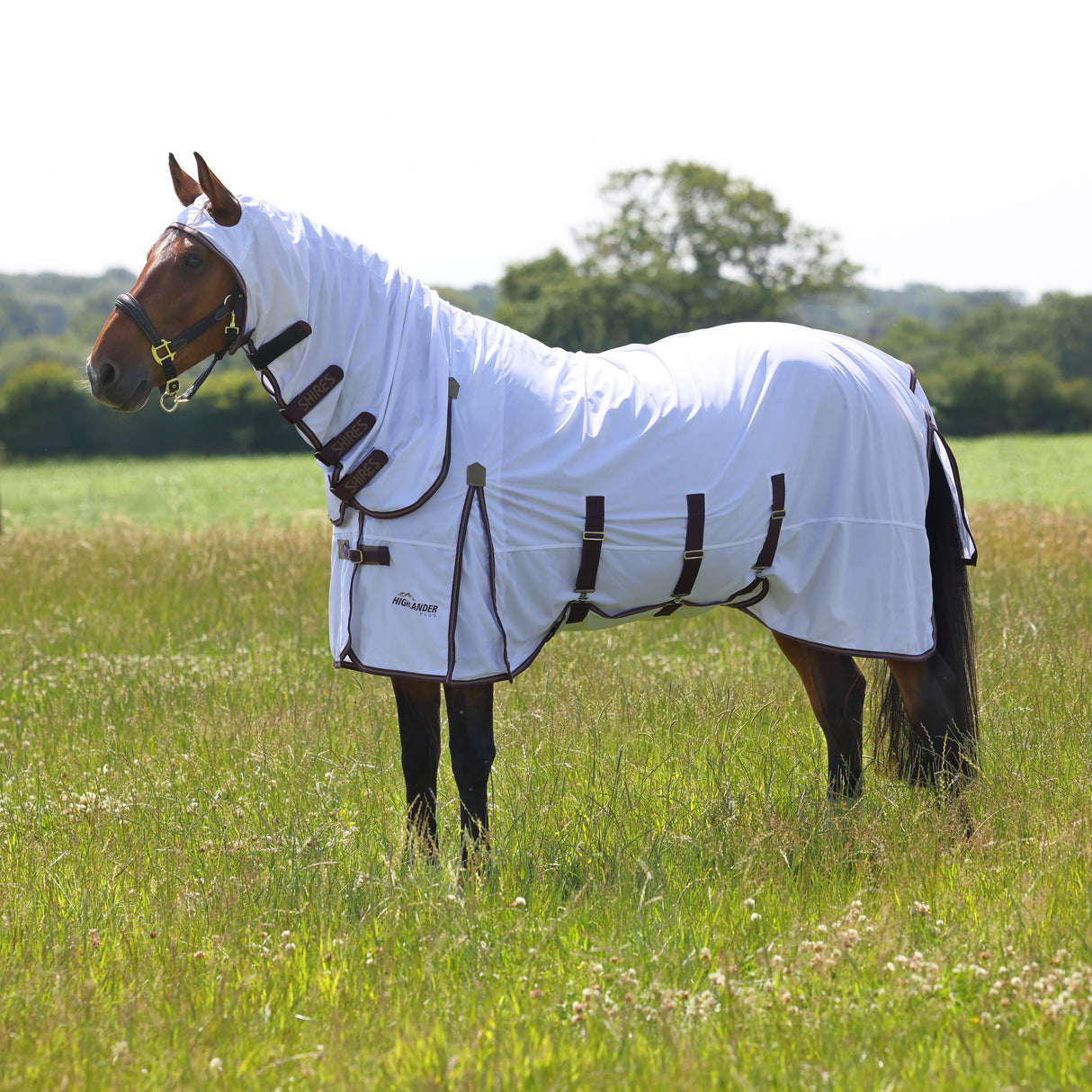 Shires Highlander Plus Fliegendecken-Kombination