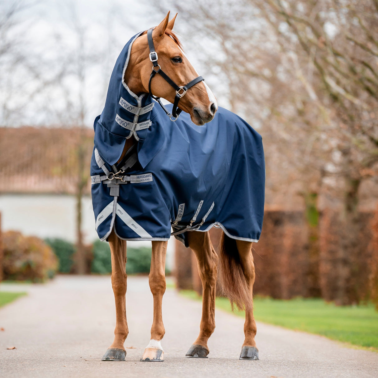 Horseware Ireland Amigo 1200D Integrated 250g Turnout Rug #colour_navy-titanium-grey-silver