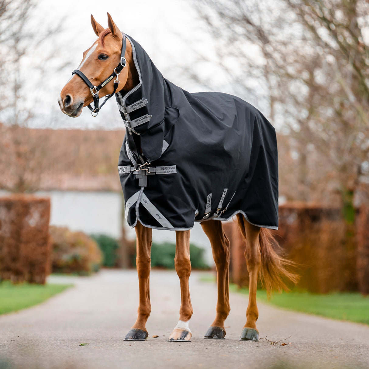 Horseware Ireland Amigo 1200D Integrated 250g Turnout Rug #colour_black-titanium-grey-silver