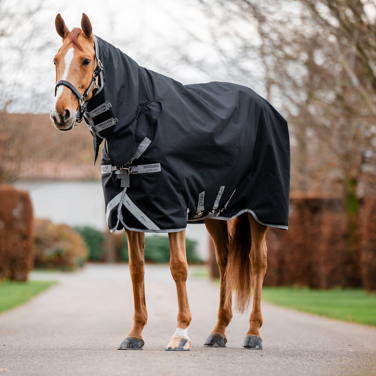 Horseware Ireland Amigo 1200D Integrated 250g Turnout Rug #colour_navy-titanium-grey-silver