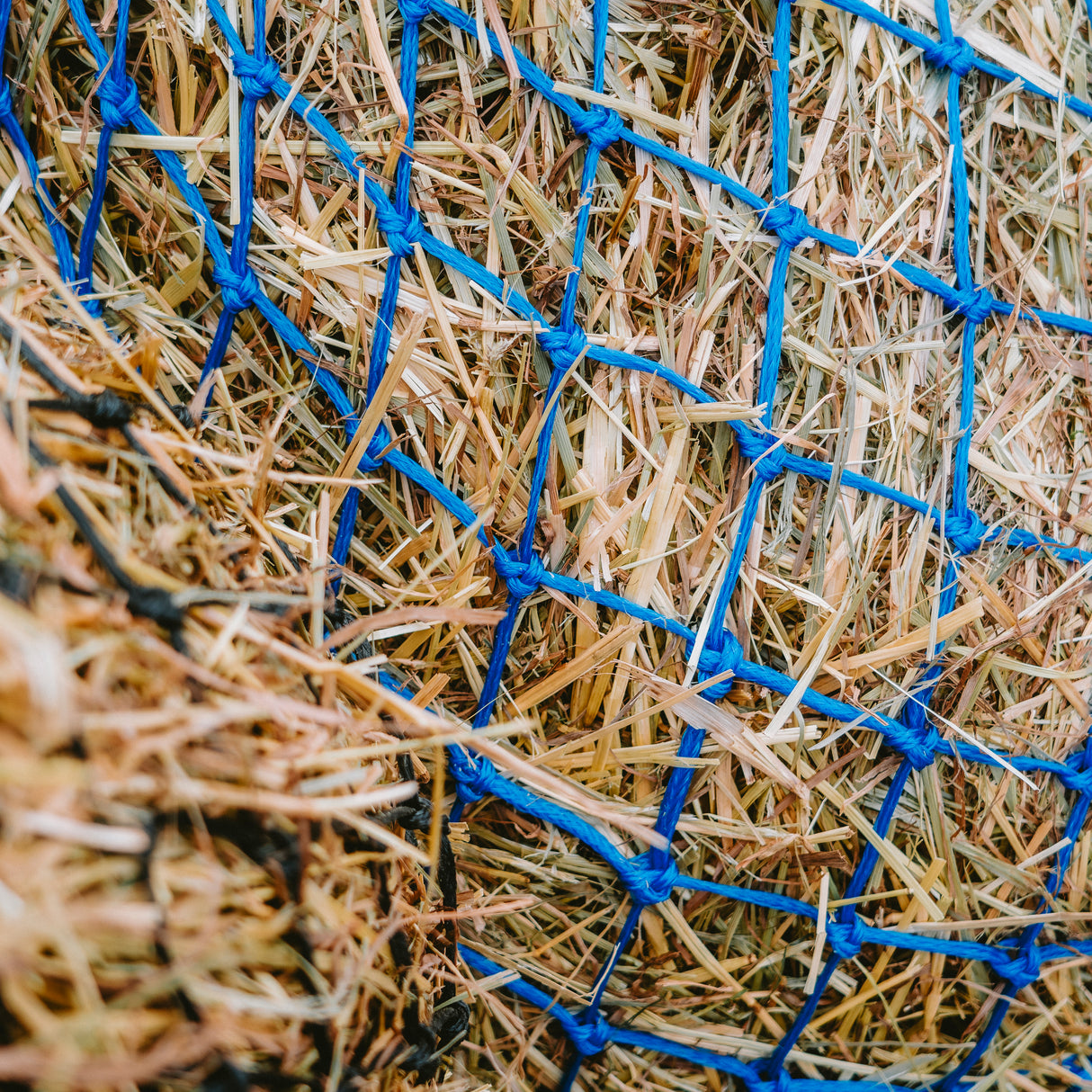 Filet à foin GS Equestrian Deluxe 40"