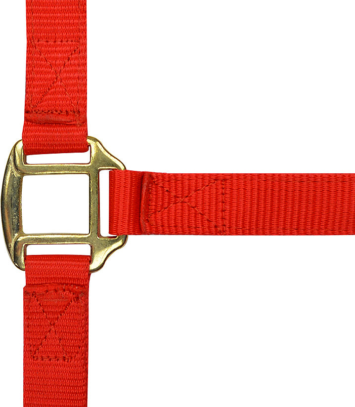 Norton Leather Lined Nylon Headcollar