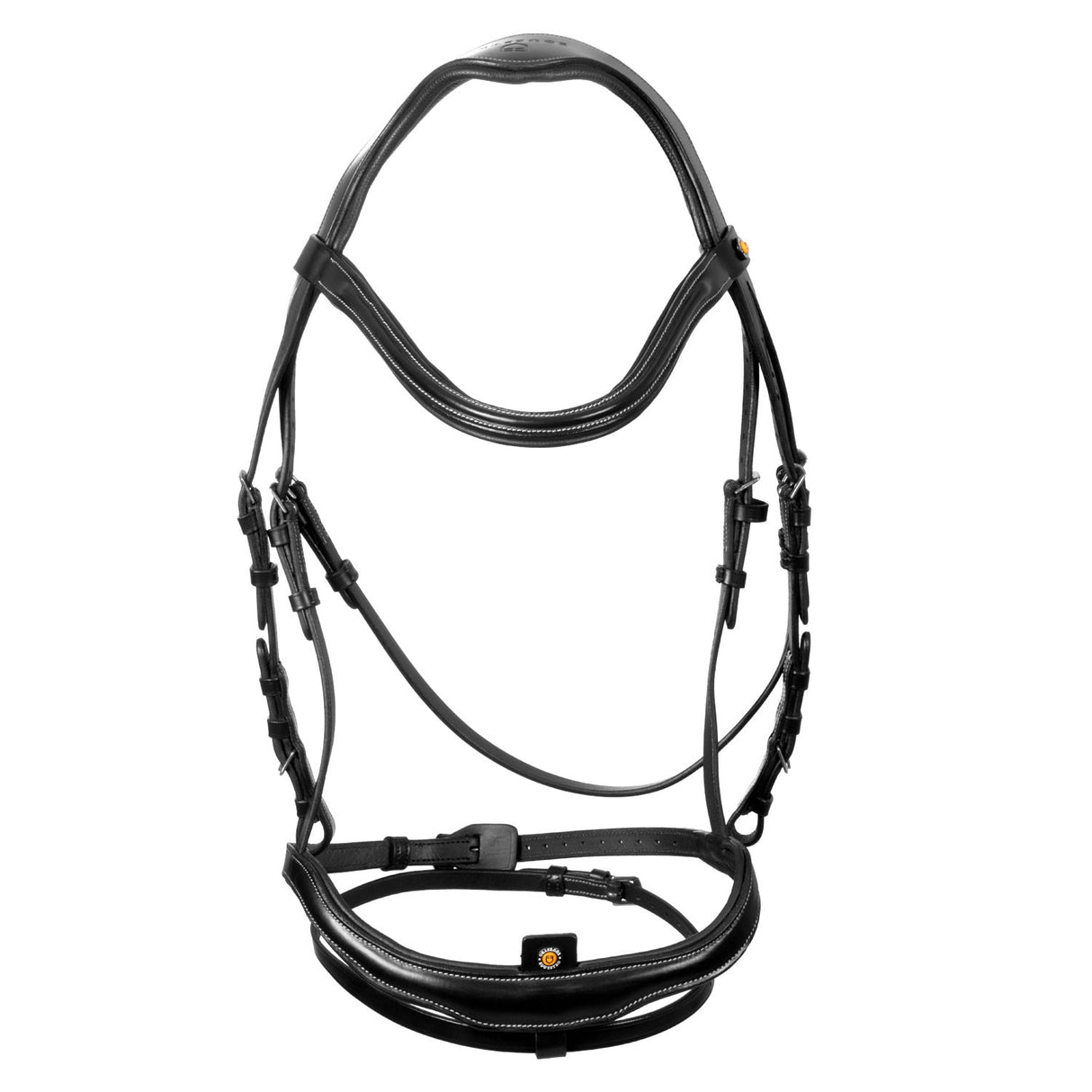 Anatomical bridle with curved noseband