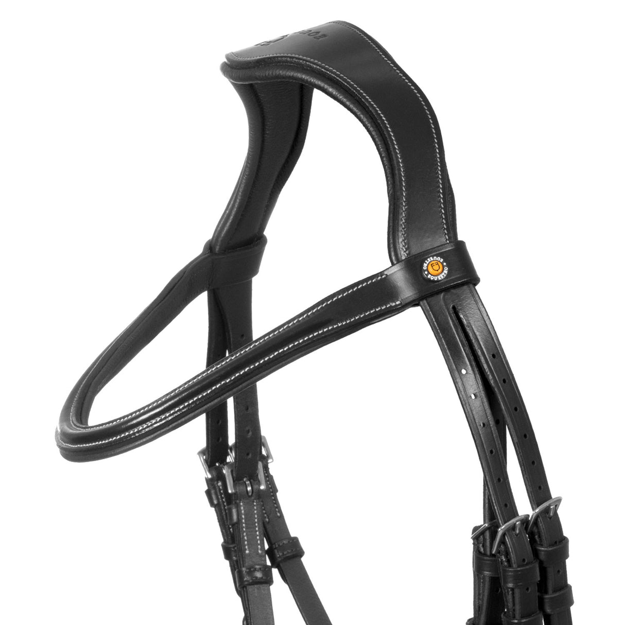 Anatomical bridle with curved noseband
