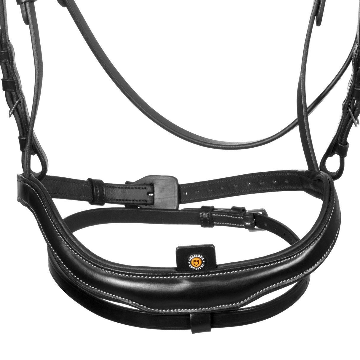 Anatomical bridle with curved noseband