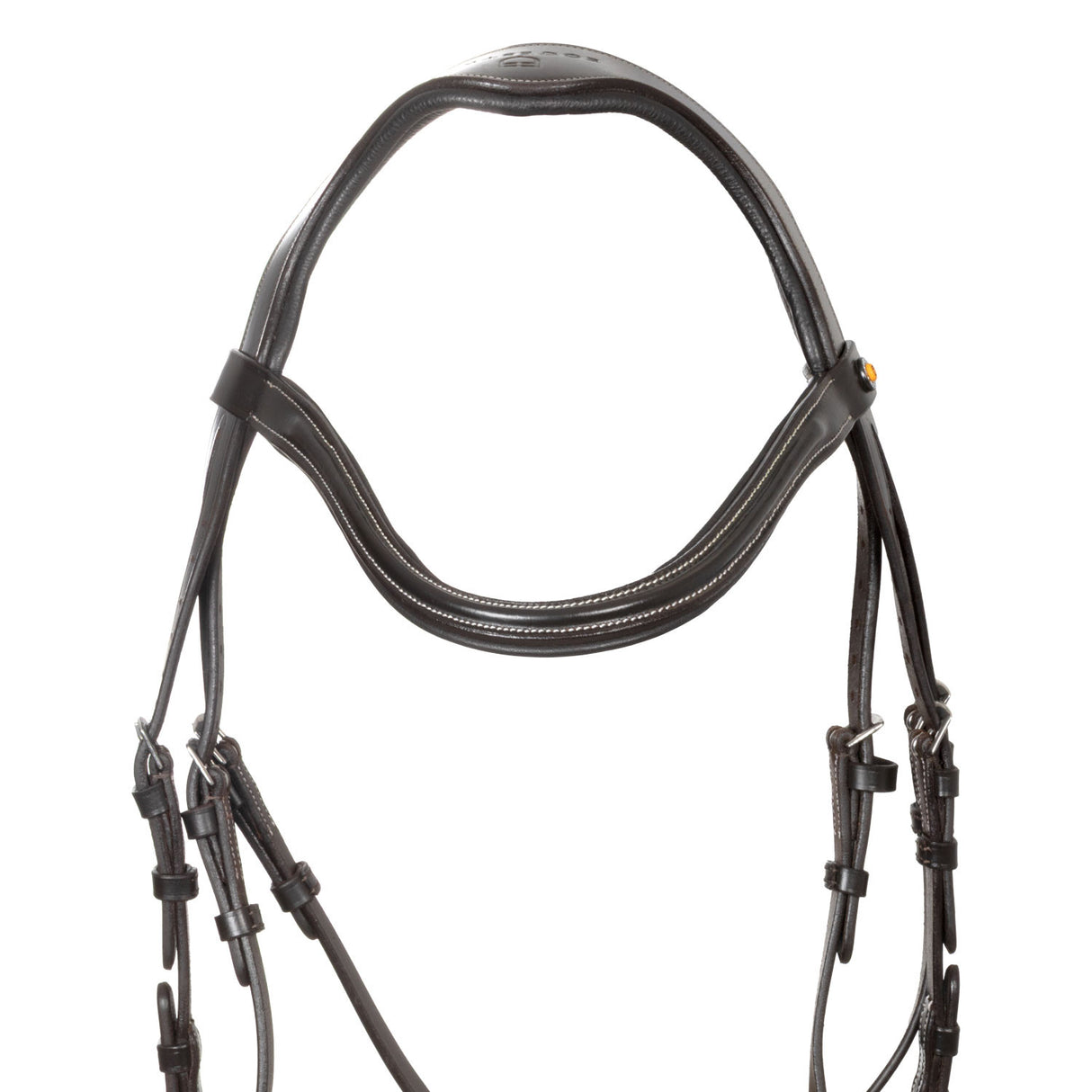 Anatomical bridle with curved noseband