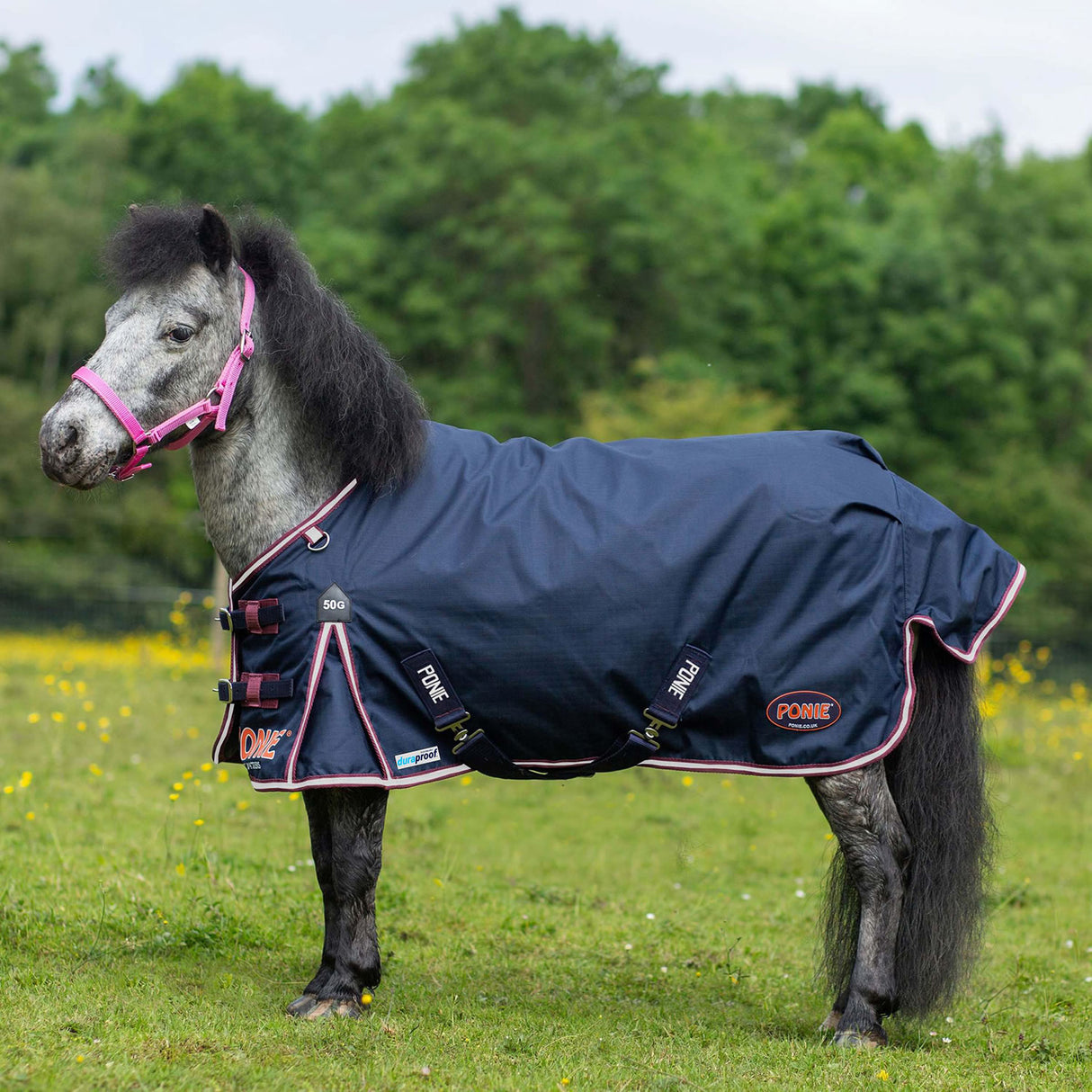 Gallop Ponie Duraproof 50g 5-Point Standard Neck Turnout
