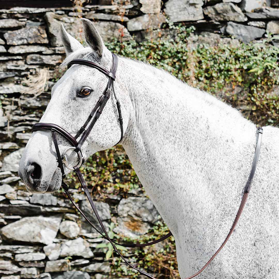 Mackey Legend Apollo Zaumzeug