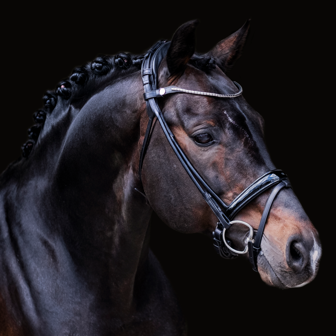Finesse Himalaya Flash Bridle #colour_black-patent-silver