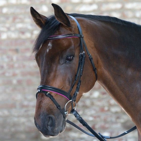 Waldhausen Star Diamond Bridle #colour_pink