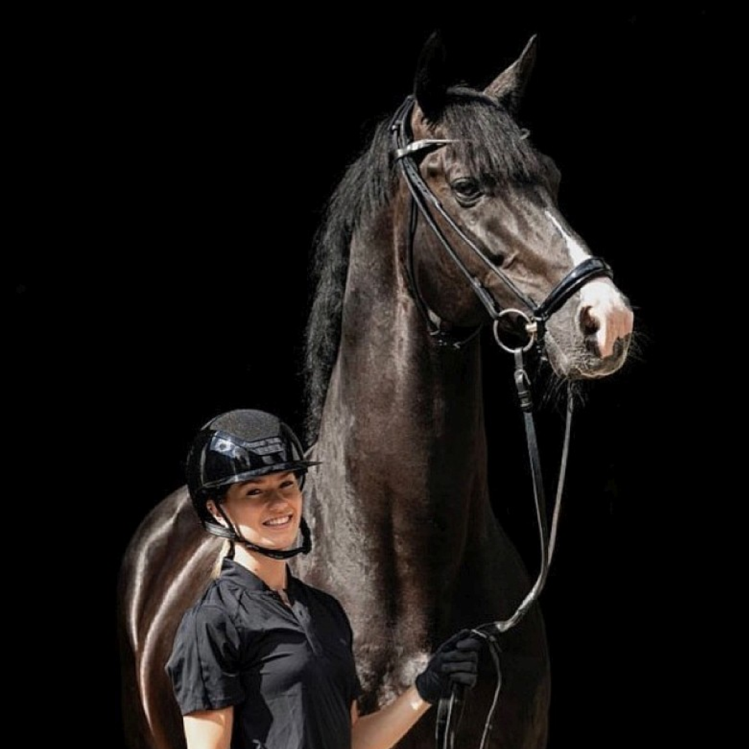 Finesse Spirit Drop Nose Bridle #colour_black-black-silver