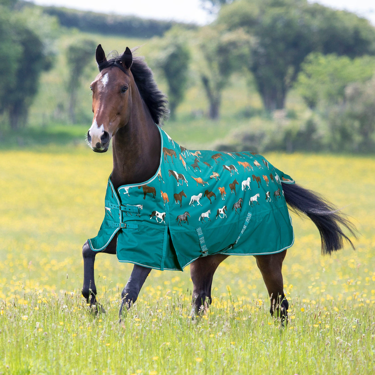Bridleway Ontario 100g Turnout Rug #colour_green-horse