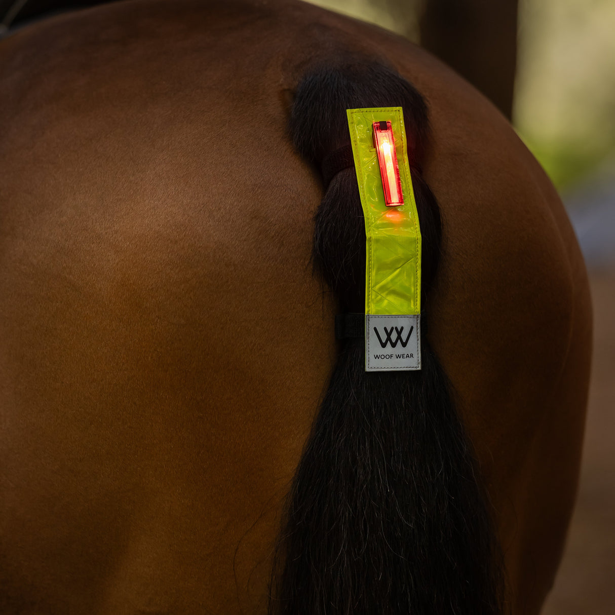 Woof Wear LED Hi Vis Tail Light #colour_hi-viz-yellow