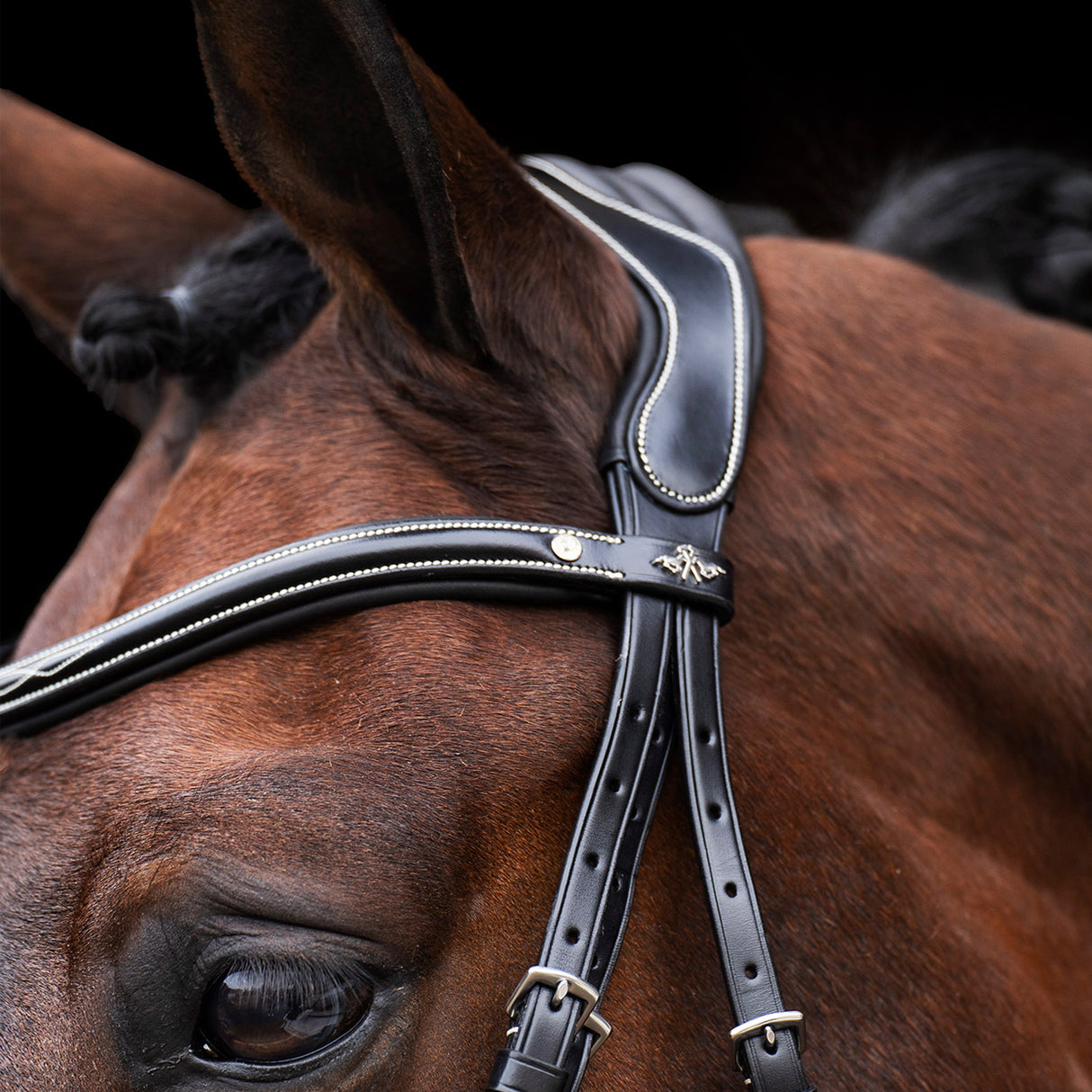 HV Polo Legacy Bridle #colour_black