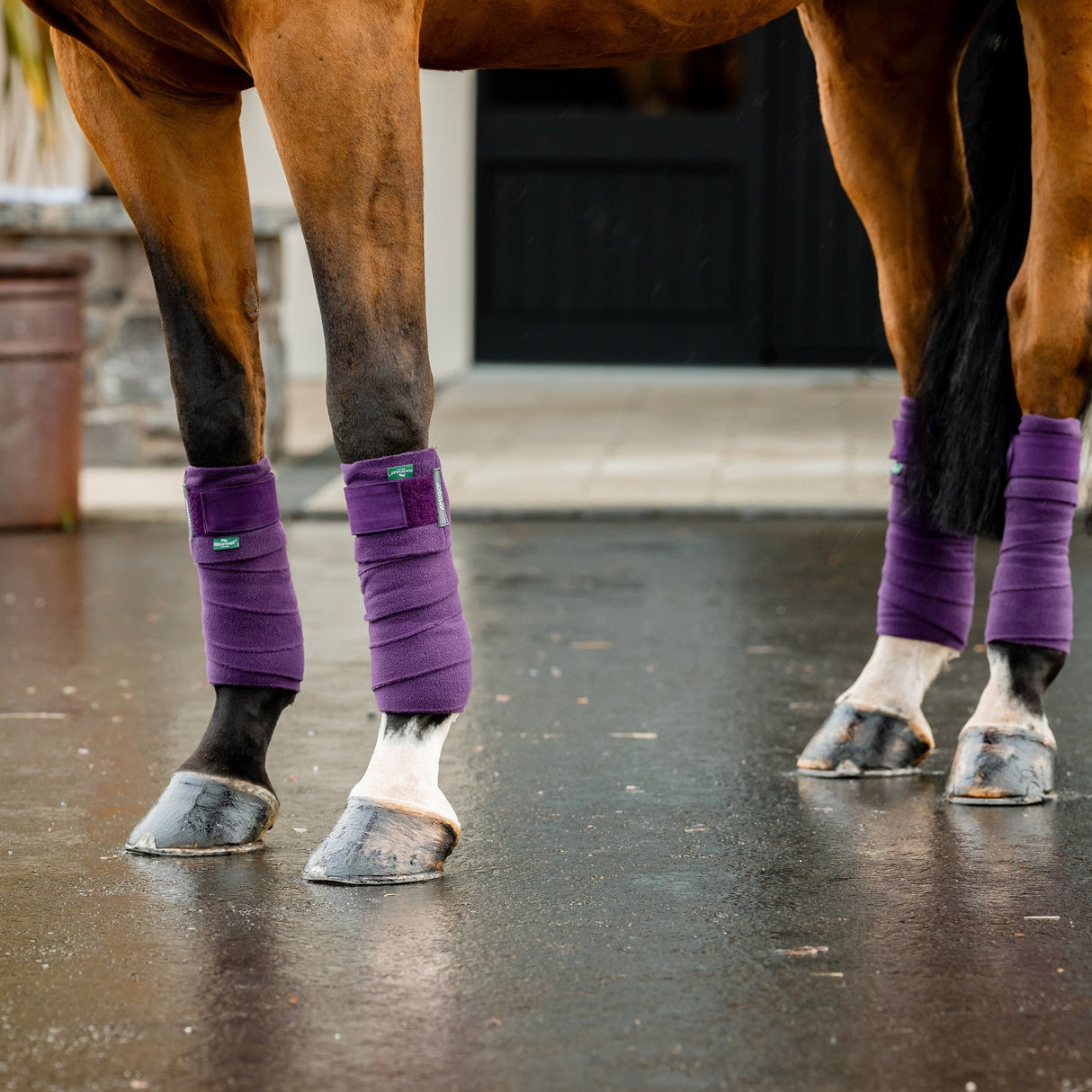 Horseware Ireland Amigo Fleece Bandages #colour_winterberry