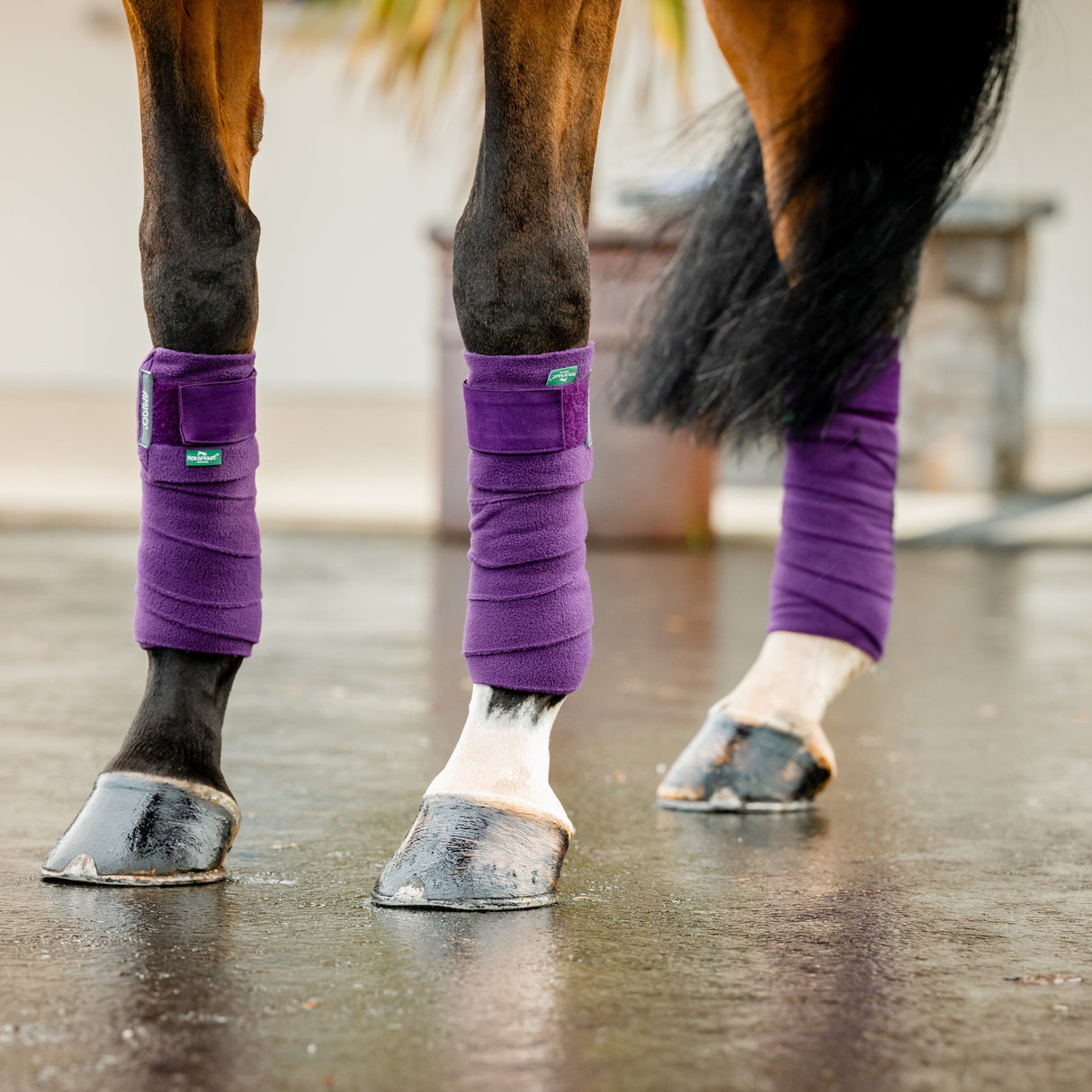 Horseware Ireland Amigo Fleece Bandages #colour_winterberry