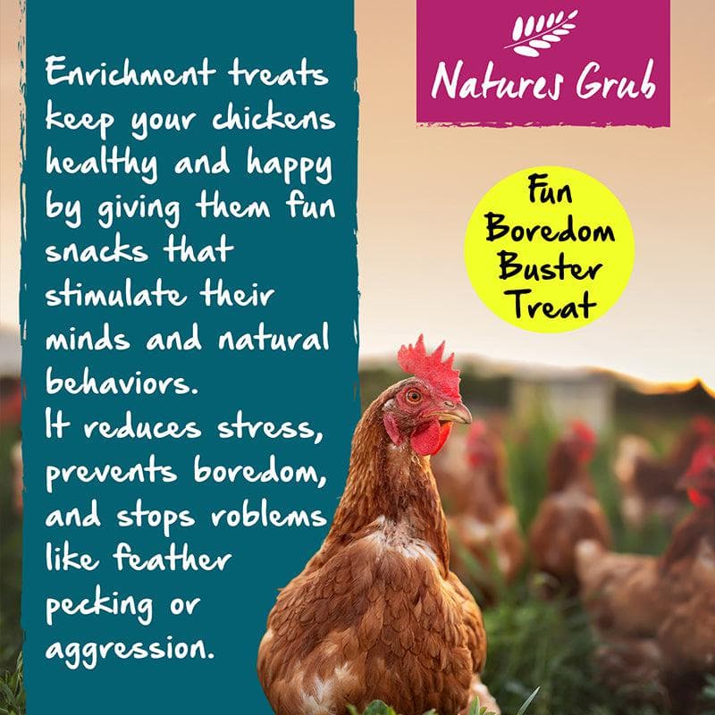 Natures Grub Peck 'N' Play Hanging Treat