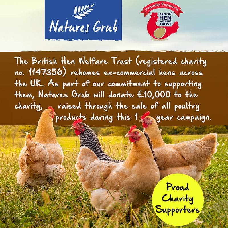 Natures Grub Peck 'N' Play Hanging Treat