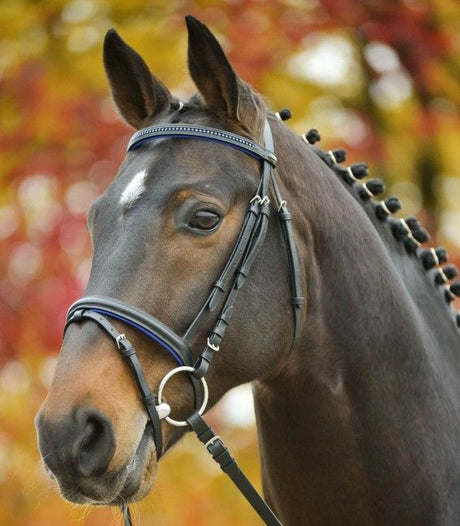 Waldhausen Star Diamond Bridle #colour_blue