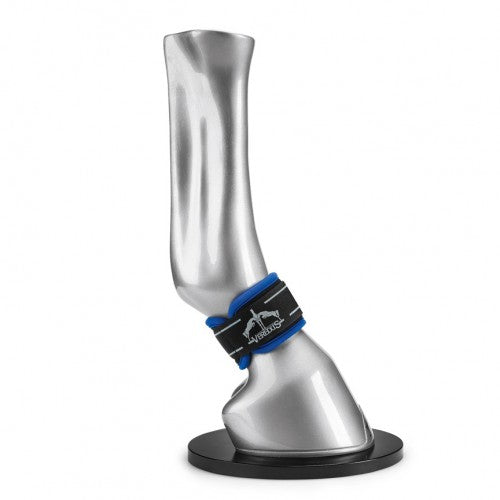 Enveloppements de paturons Veredus Magnetik Pro