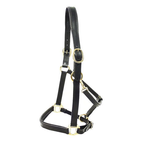 KM Elite Primera Padded Leather Headcollar #colour_black