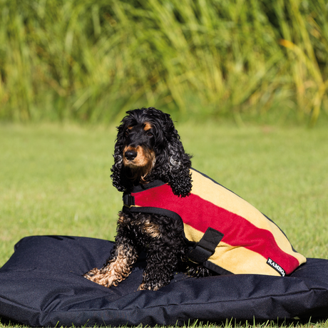 #colour_witney-stripe-gold