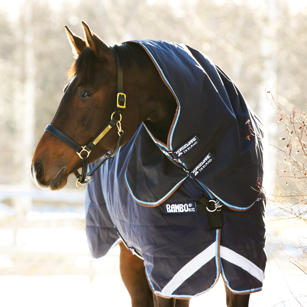 Horseware Ireland Rambo Duo #colour_navy-sky-blue-brown