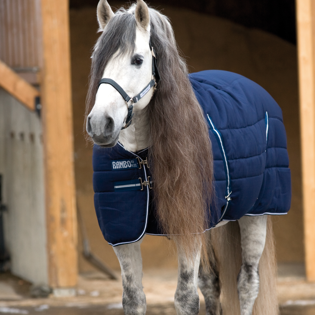 Horseware Ireland Rambo Stable 200g #colour_navy-white
