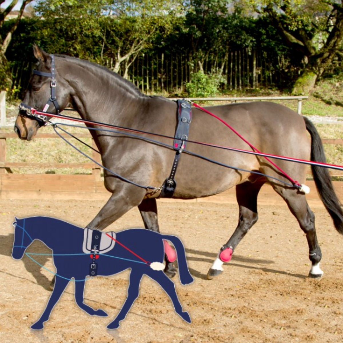 Système de formation John Whitaker