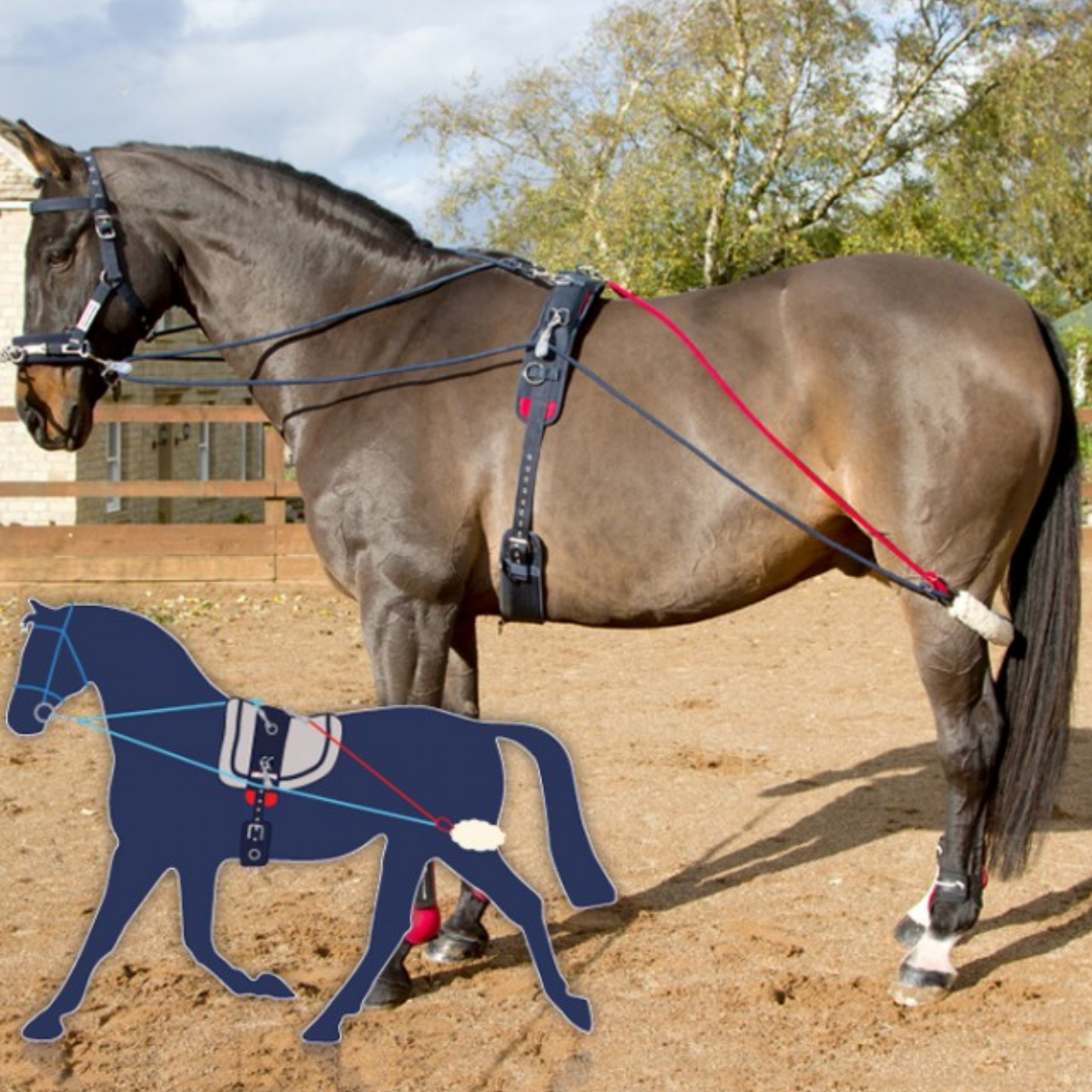 Système de formation John Whitaker