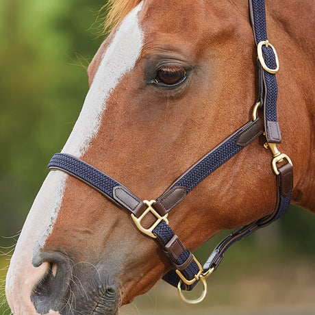 Kincade Braided Leather Headcollar #colour_navy