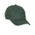 Shires Aubrion Team Cap #colour_green