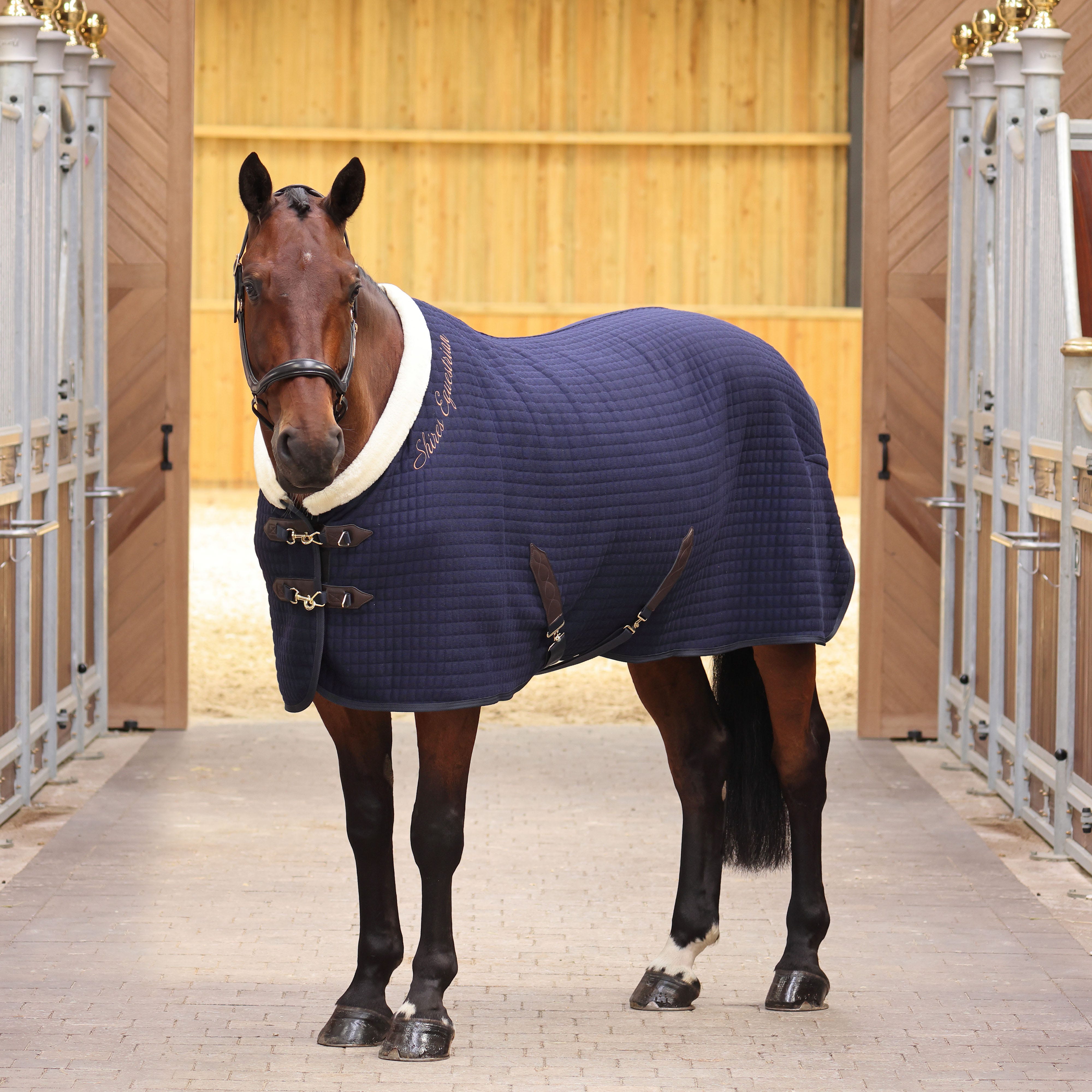 Shires Equestrian Products 2012 EURO by HRCS - Issuu