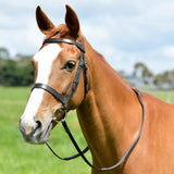 Kincade Classic Flat Hunt Bridle With Reins #colour_black