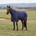 Weatherbeeta Comfitec Prelim 0G Combo Turnout #colour_navy-embossed-plaid