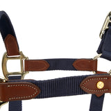 Shires ARMA Porto Headcollar #colour_navy