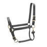 Shires ARMA Premium Adjustable Headcollar #colour_grey